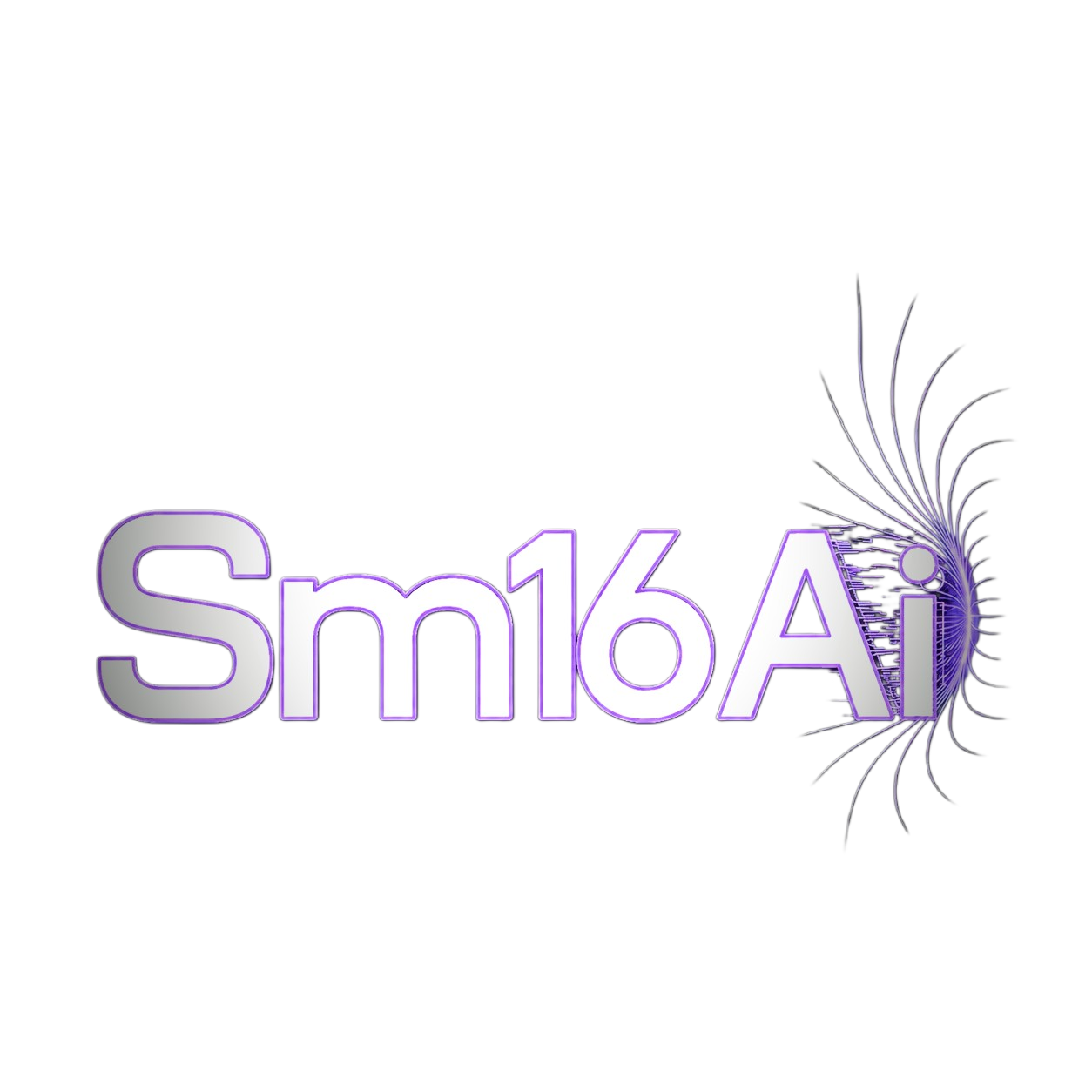 Sm16 Logo